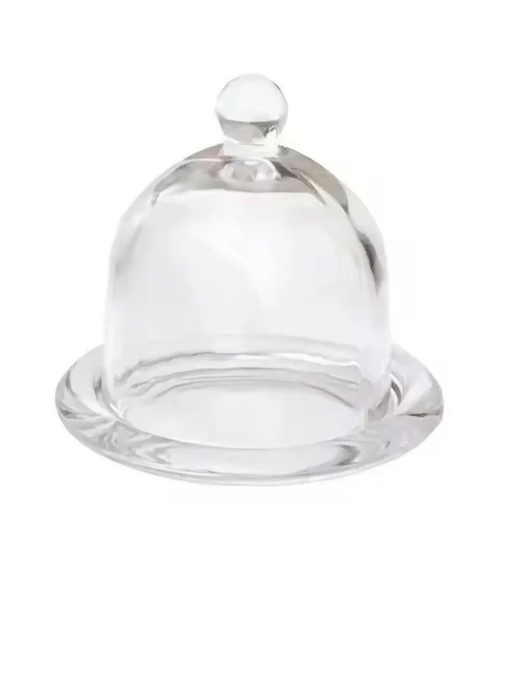 Mini Glass Dome Display with Base