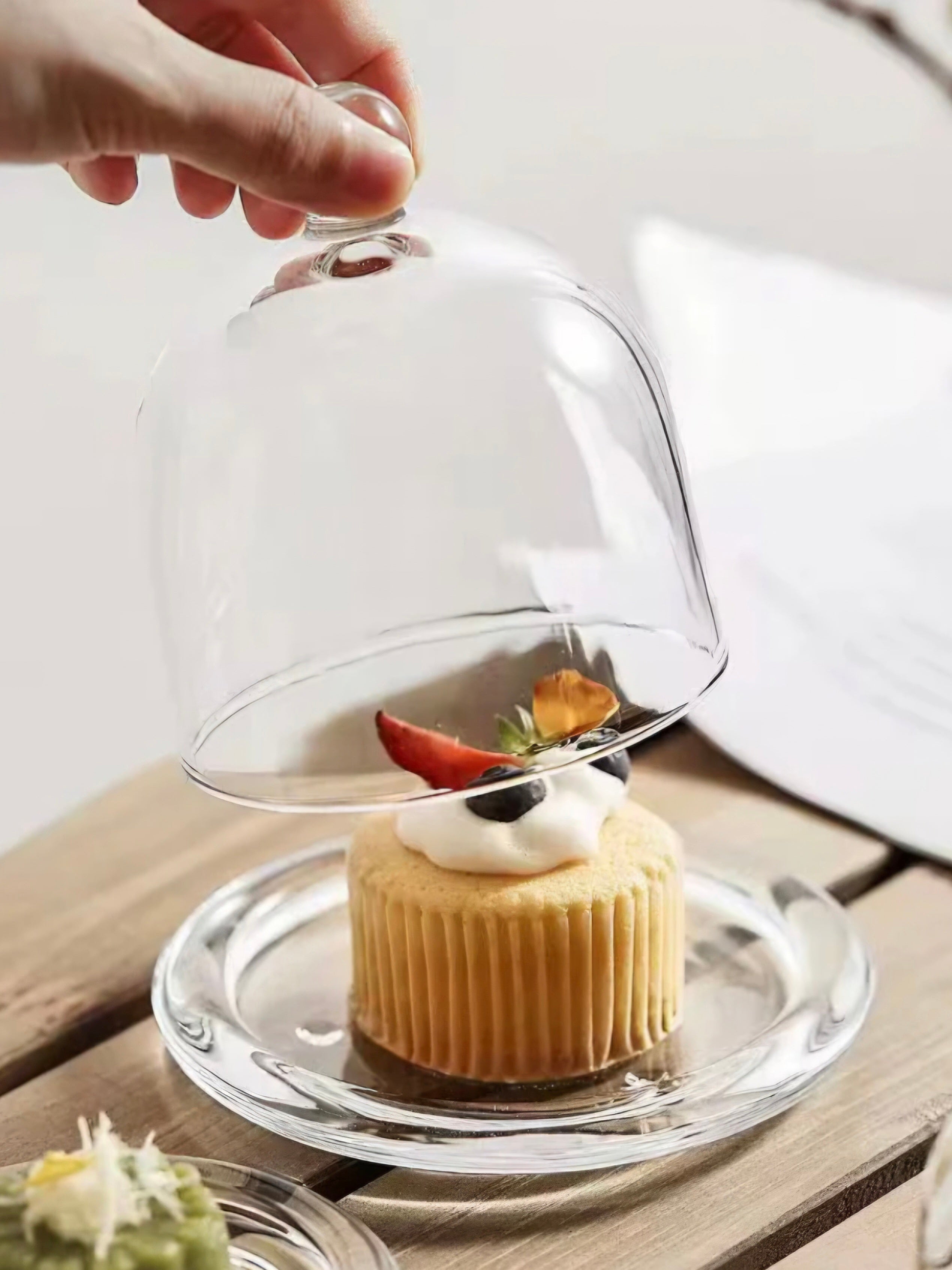 Mini Glass Dome Display with Base