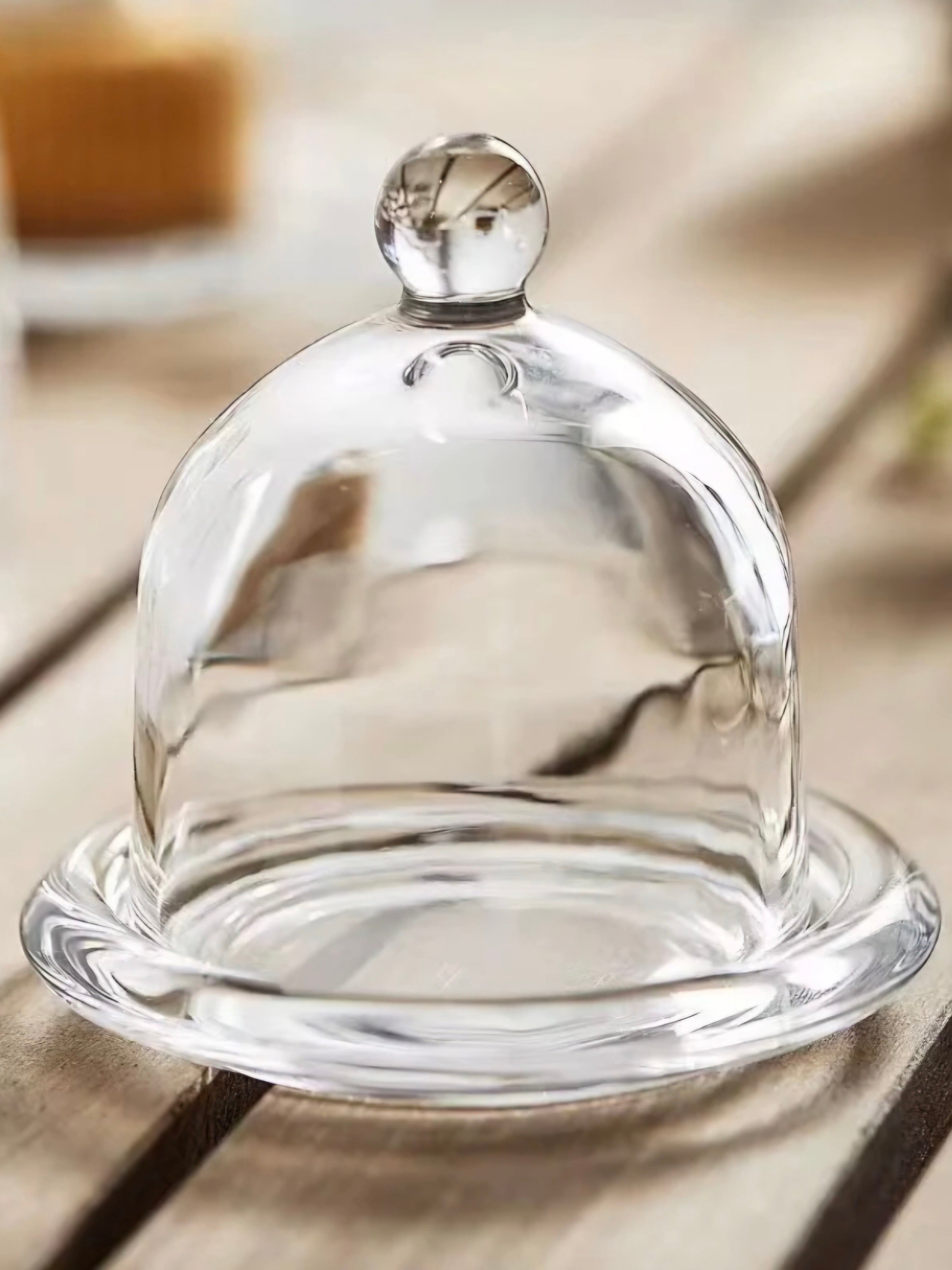 Mini Glass Dome Display with Base