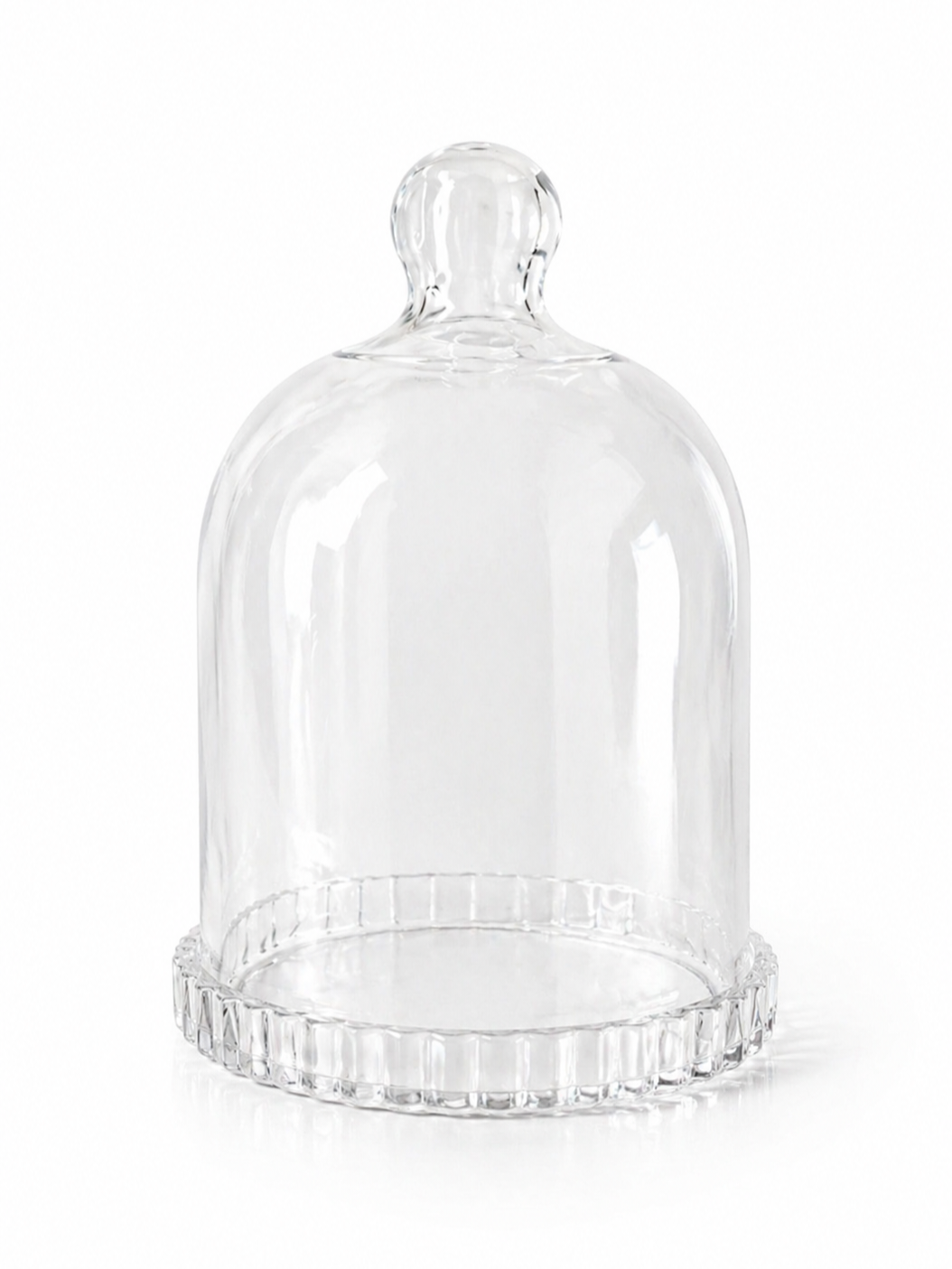 Elegant Plastic Dome Display